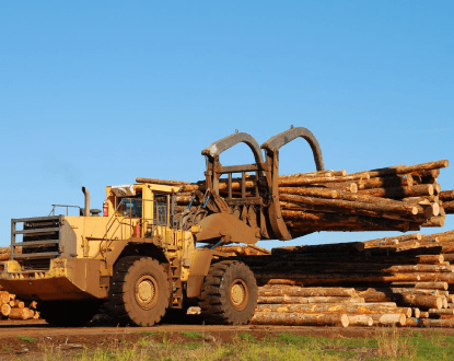 TIMBER CRUISING