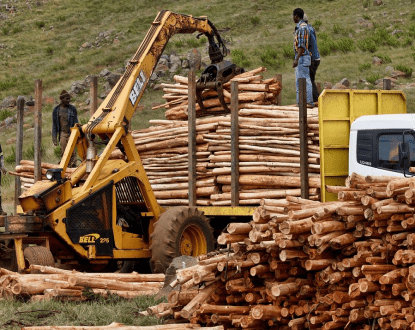 LOGGING